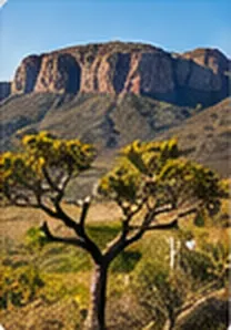 Chapada com árvore retorcida em primeiro plano